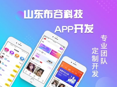 微信小程序定制开发,APP源码定制开发,软件系统开发