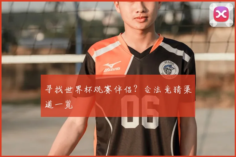 寻找世界杯观赛伴侣？合法竞猜渠道一览