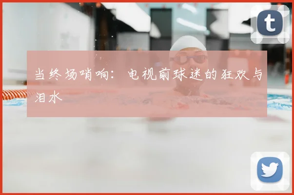 当终场哨响:电视前球迷的狂欢与泪水