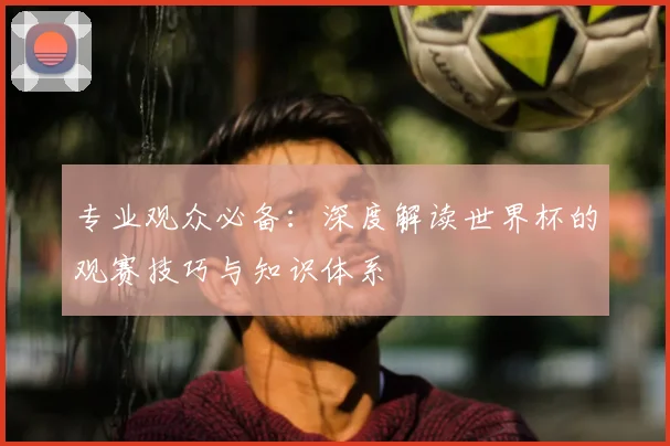 专业观众必备:深度解读世界杯的观赛技巧与知识体系