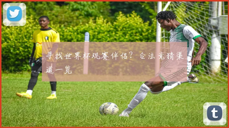 寻找世界杯观赛伴侣?合法竞猜渠道一览